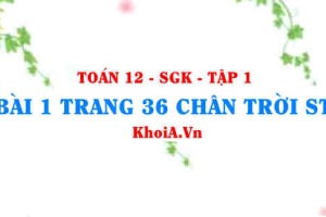 Bài 1 trang 36 Toán 12 Tập 1 Chân trời sáng tạo